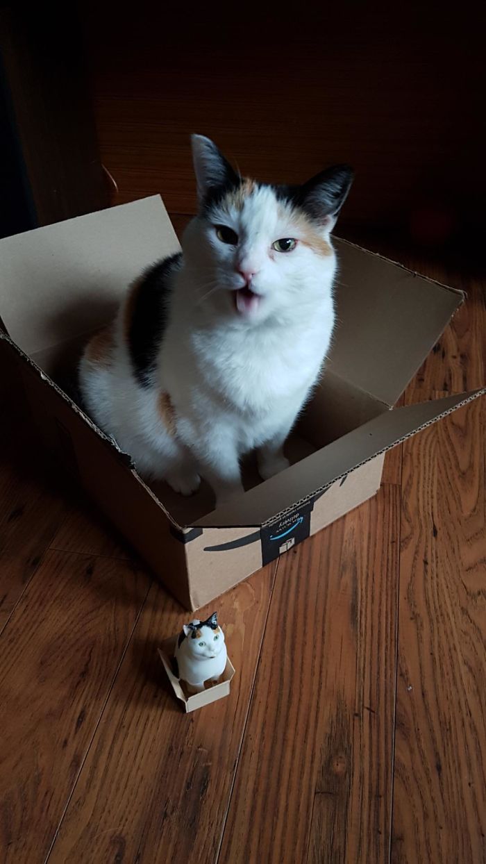 Кот в коробке рядом с миниатюрной 3D-фигуркой кота