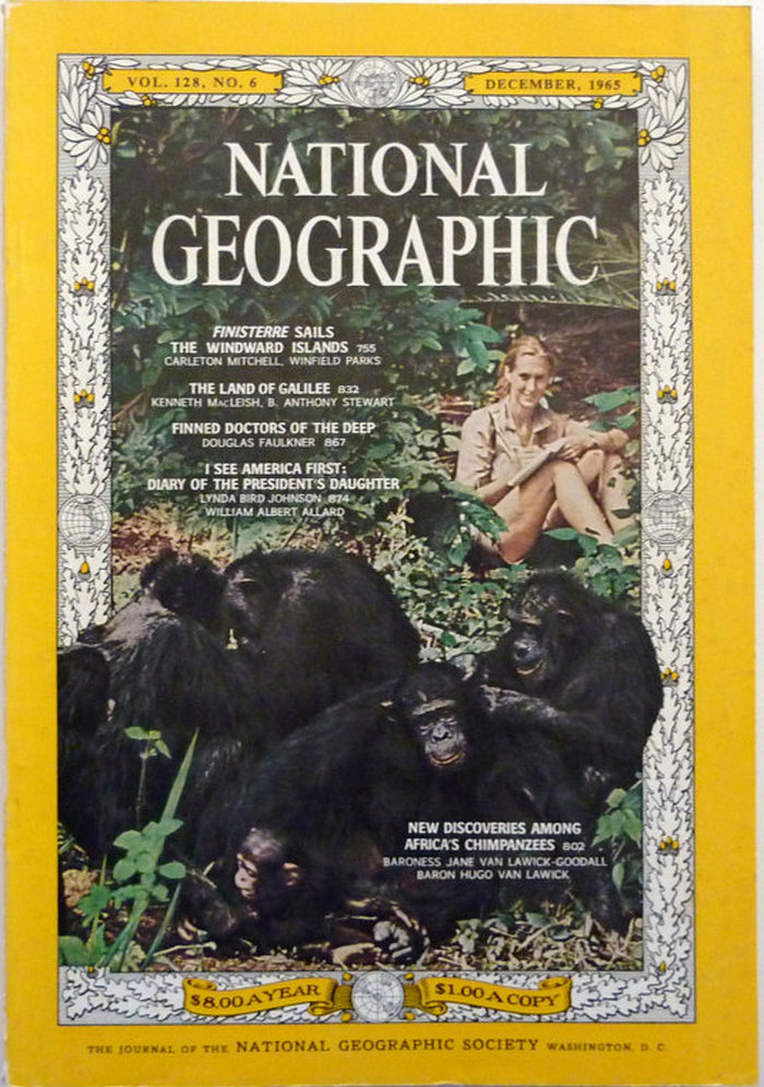 Джейн Гудолл на обложке журнала National Geographic, 1965 год