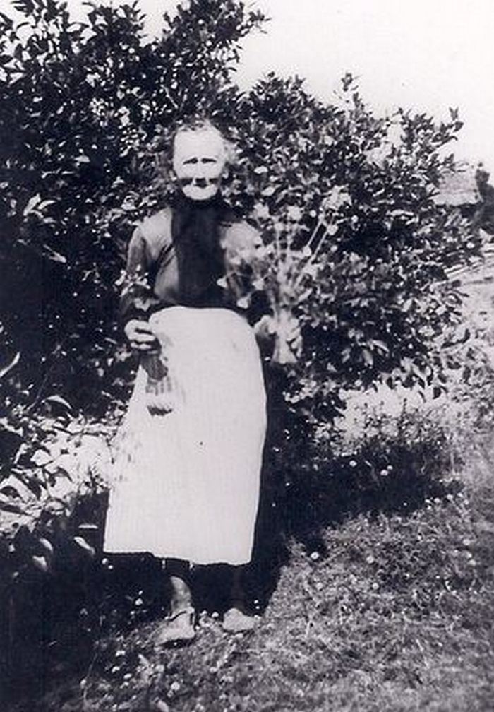 Каролина Олссон в 1940-е годы, пожилая женщина