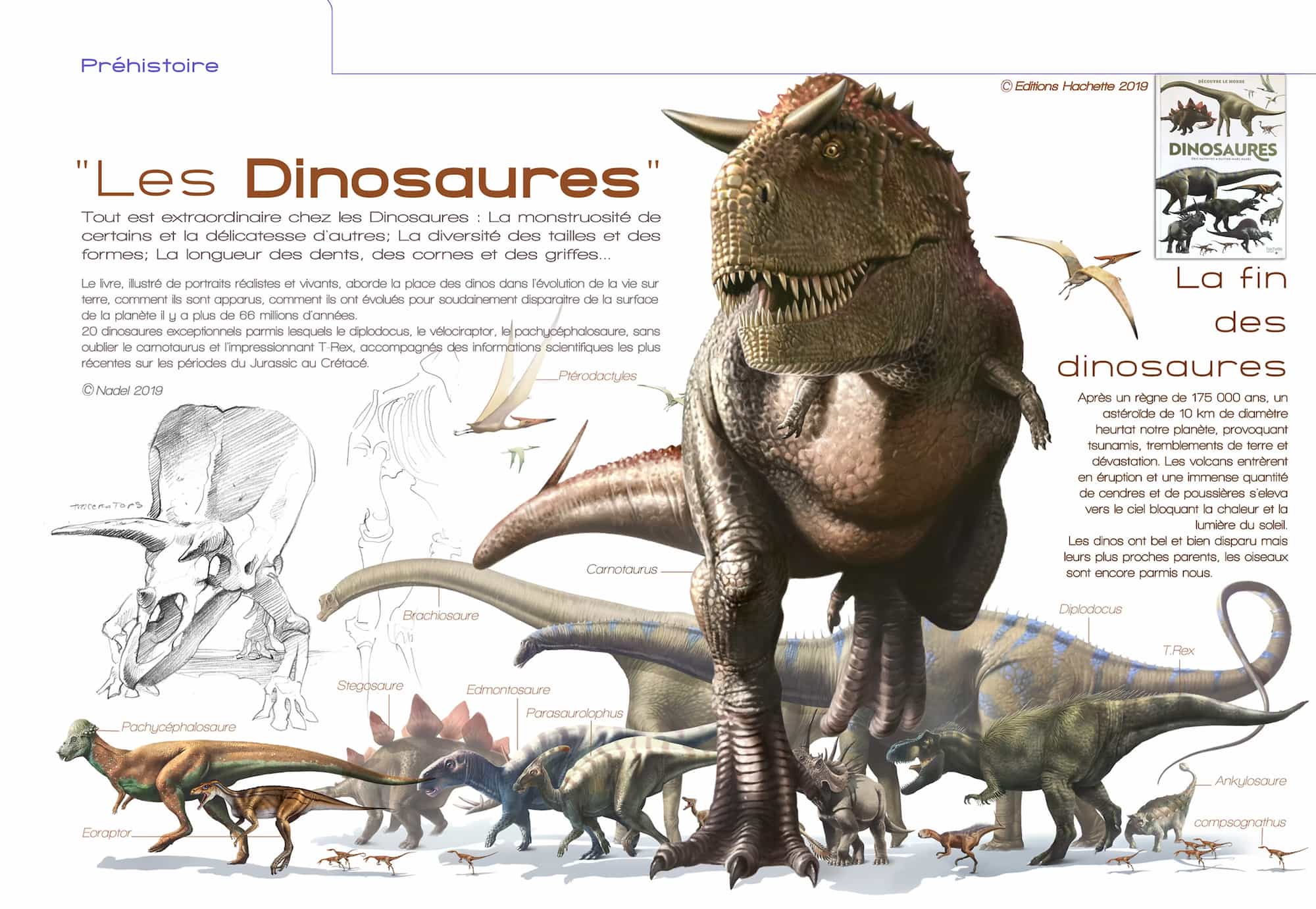 Научная реконструкция динозавров с перьями &mdash; современный взгляд палеонтологии