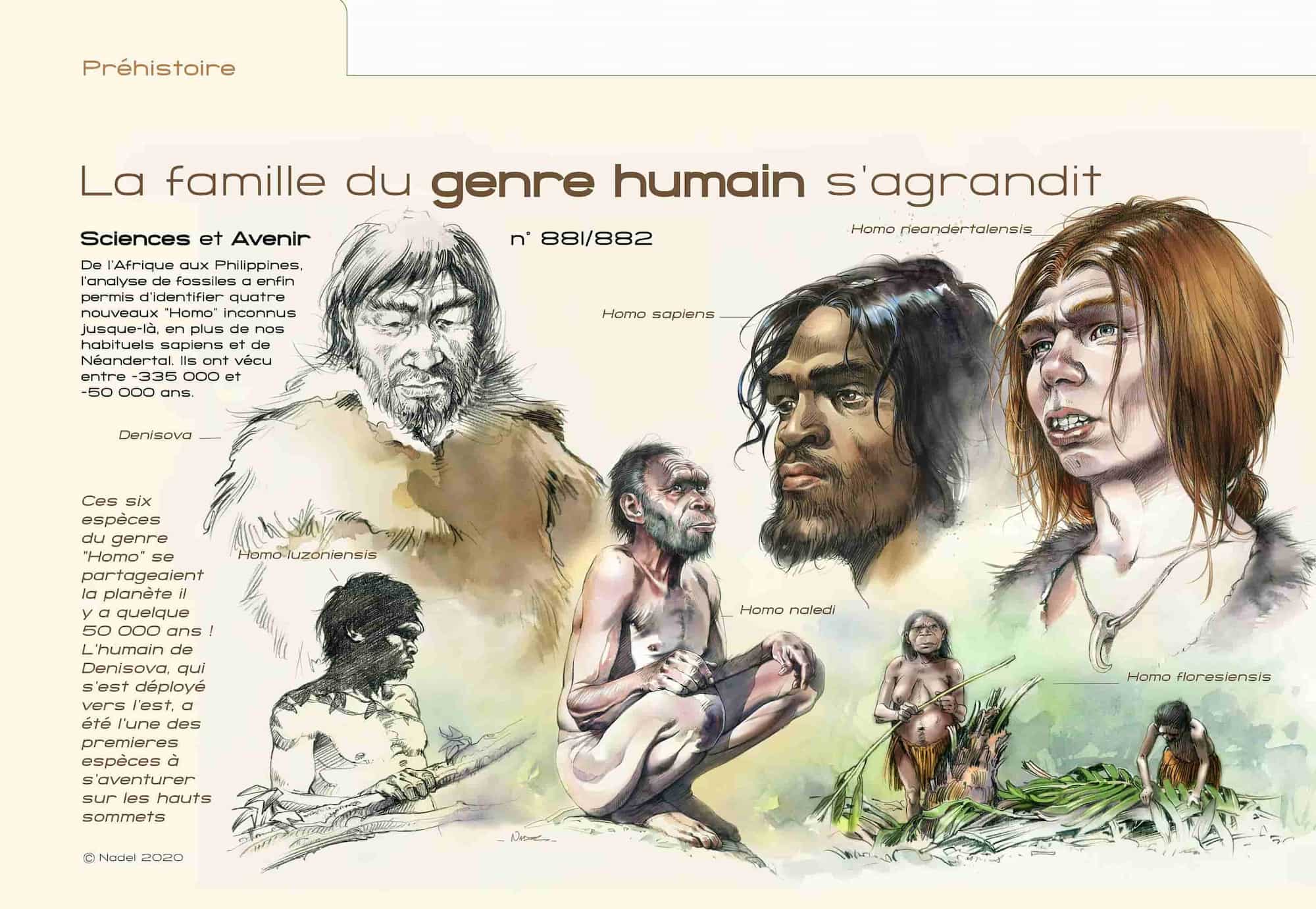 Разные виды древних людей &mdash; иллюстрация к книге о доисторических заблуждениях