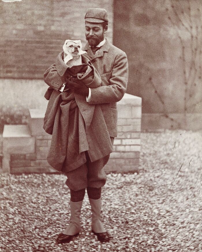 Герцог Йоркский, будущий король Георг V, с мопсом в чепчике, около 1895