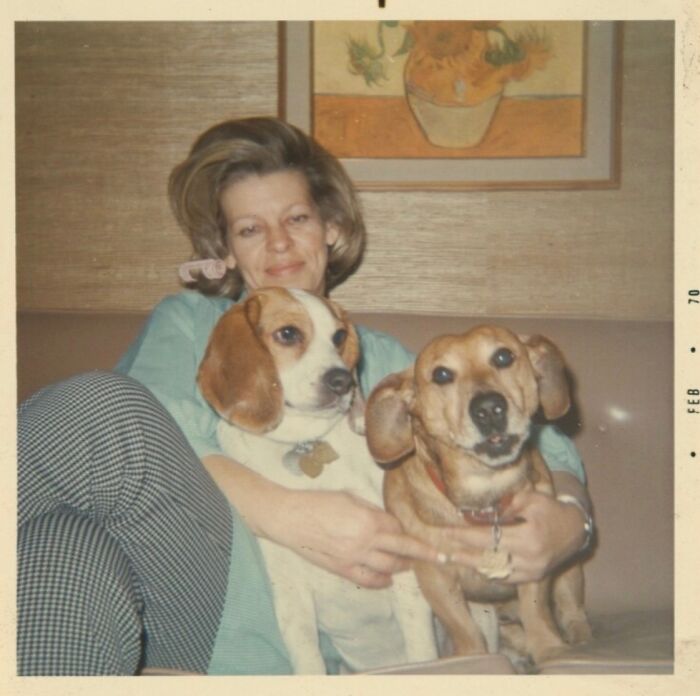 Мужчина сидит с двумя собаками, февраль 1970