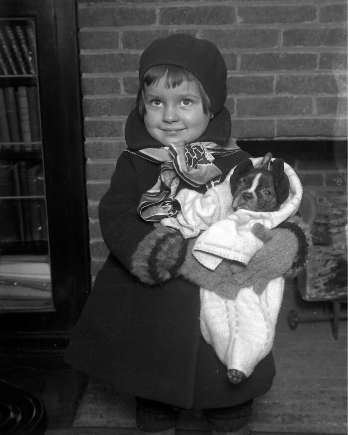 Маленькая девочка держит щенка в Чикаго