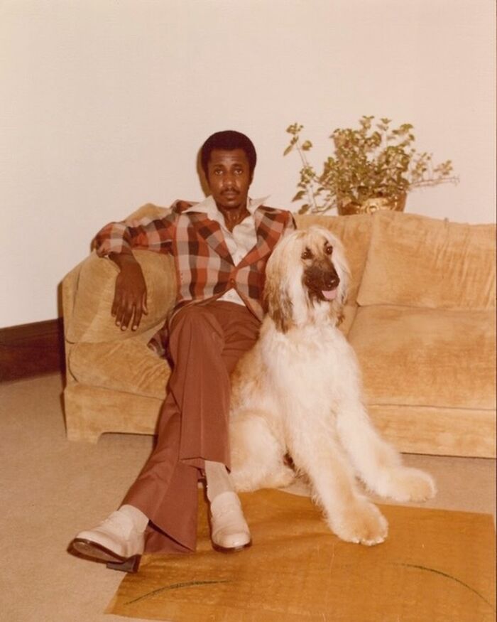 Мужчина с афганской борзой