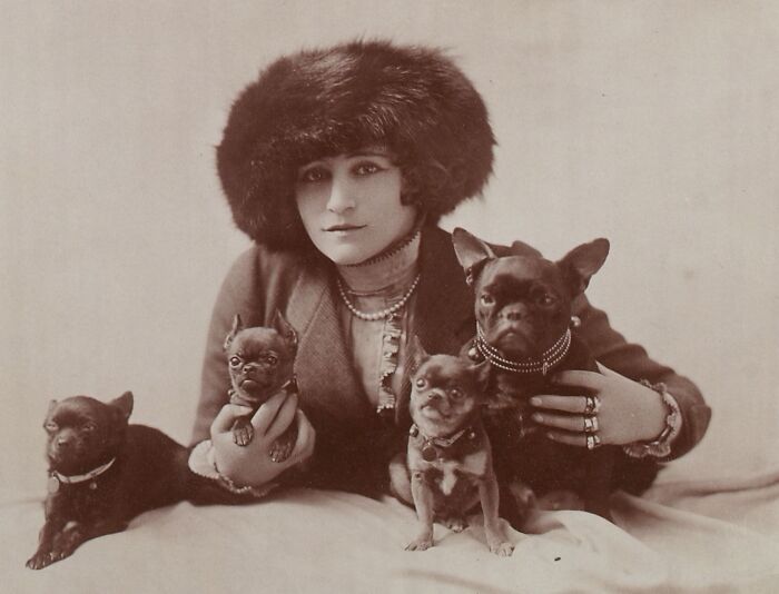 Французская писательница Колетт с собаками, около 1910&ndash;1914