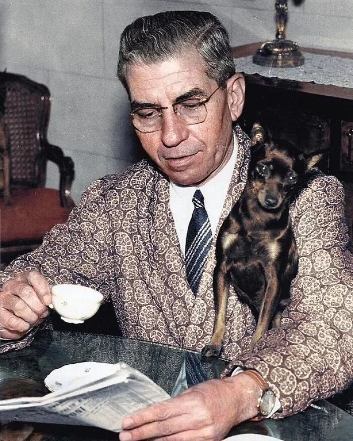 Гангстер Лаки Лучано с миниатюрными пинчерами в Неаполе, 1955