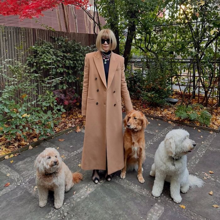 Анна Винтур с тремя собаками &mdash; Бу Рэдли, Харпер и Аттикус Финч