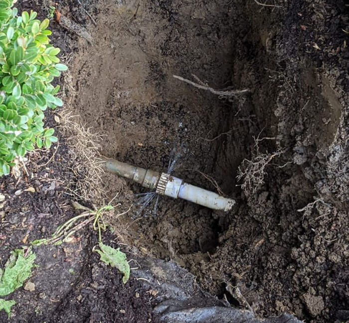 Bigpicture ru people bought homes and regretted it almost immediately 03