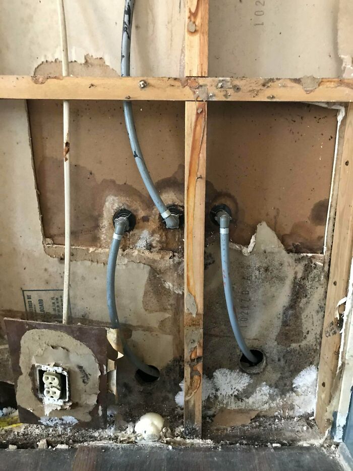 Bigpicture ru people bought homes and regretted it almost immediately 18