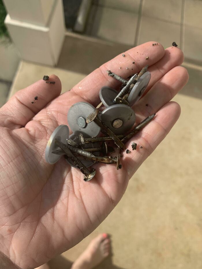 Bigpicture ru people bought homes and regretted it almost immediately 26