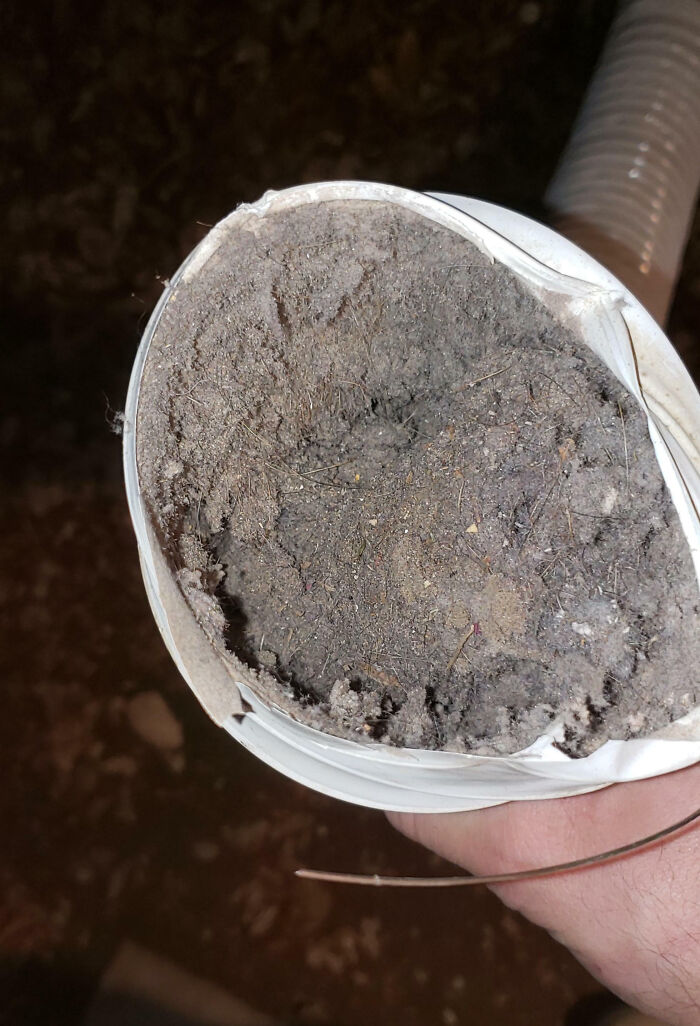 Bigpicture ru people bought homes and regretted it almost immediately 29