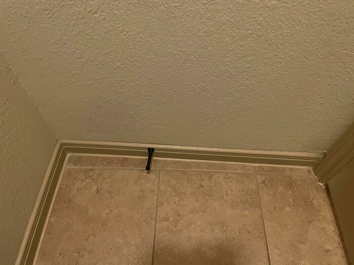 Bigpicture ru people bought homes and regretted it almost immediately 35