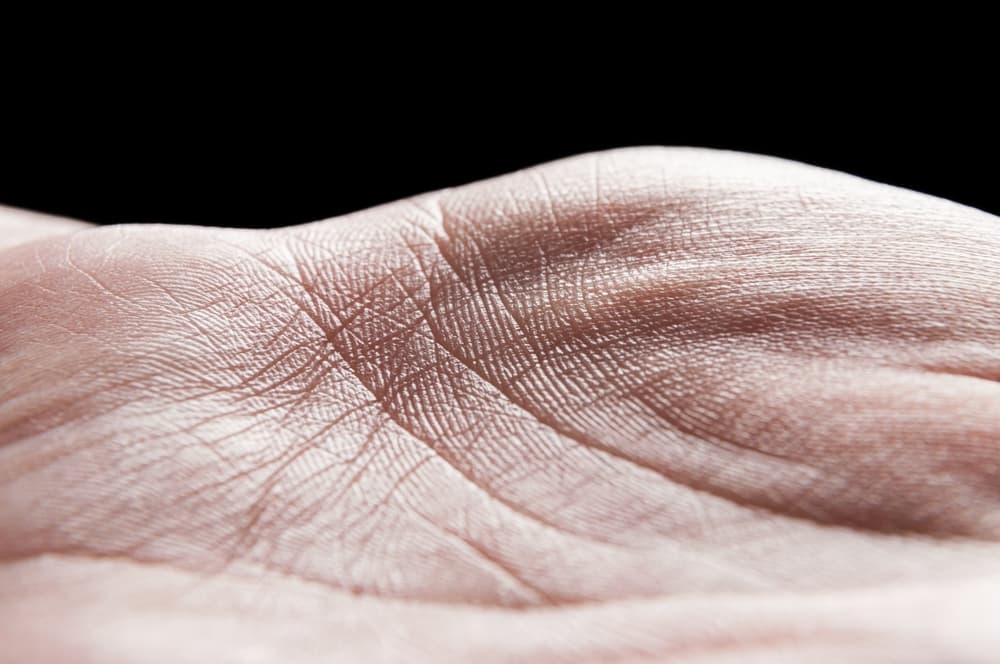 Крупный план кожи ладони с папиллярными линиями