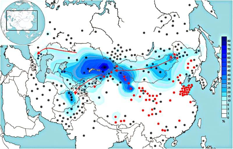 Карта распространения Y-хромосомного звёздного кластера в Азии