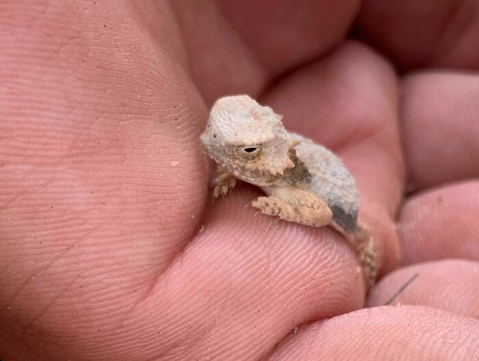 Bigpicture ru unbelievable things people stumbled upon in the desert 01