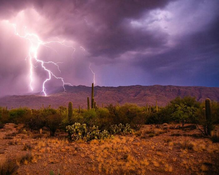 Bigpicture ru unbelievable things people stumbled upon in the desert 02