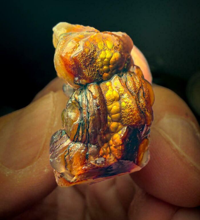 Bigpicture ru unbelievable things people stumbled upon in the desert 04