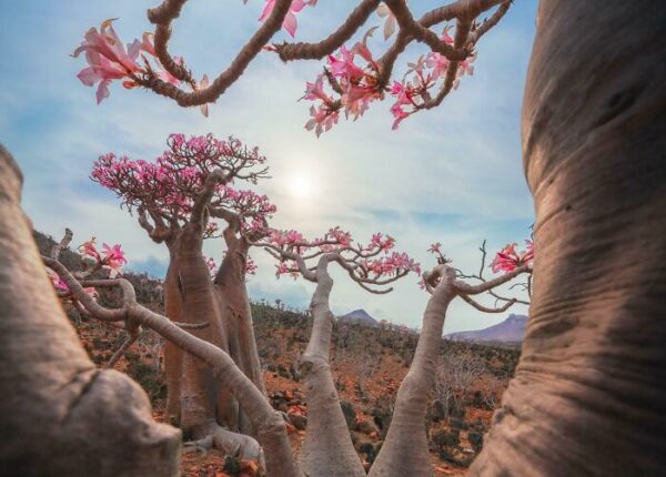 Пустыня помнит всё: 56 находок, которые она хранила годами, веками и миллионами лет