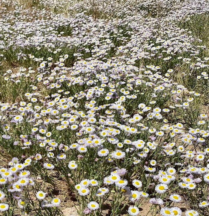 Bigpicture ru unbelievable things people stumbled upon in the desert 10