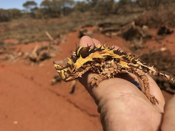 Bigpicture ru unbelievable things people stumbled upon in the desert 14