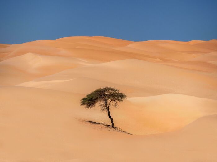 Bigpicture ru unbelievable things people stumbled upon in the desert 18