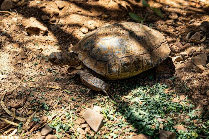 Bigpicture ru unbelievable things people stumbled upon in the desert 27