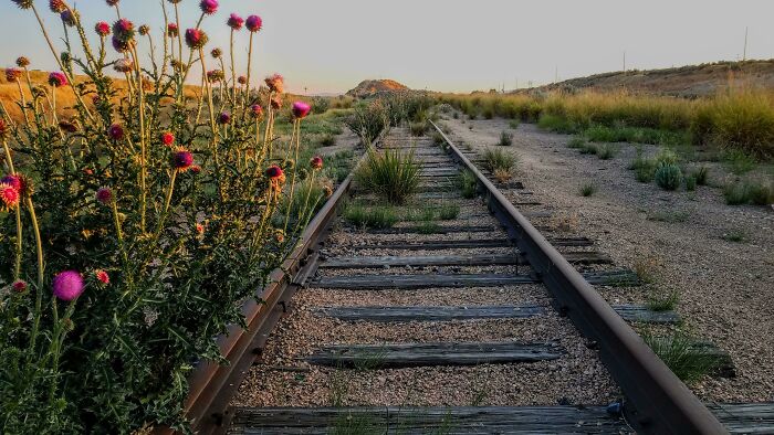 Bigpicture ru unbelievable things people stumbled upon in the desert 32