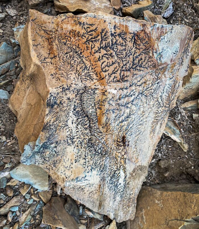 Bigpicture ru unbelievable things people stumbled upon in the desert 34