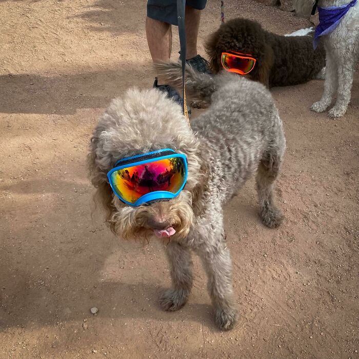 Bigpicture ru unbelievable things people stumbled upon in the desert 35