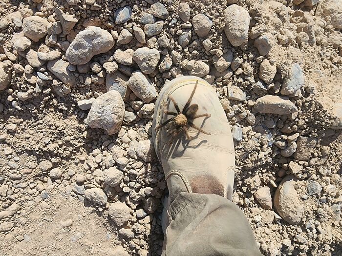 Bigpicture ru unbelievable things people stumbled upon in the desert 36