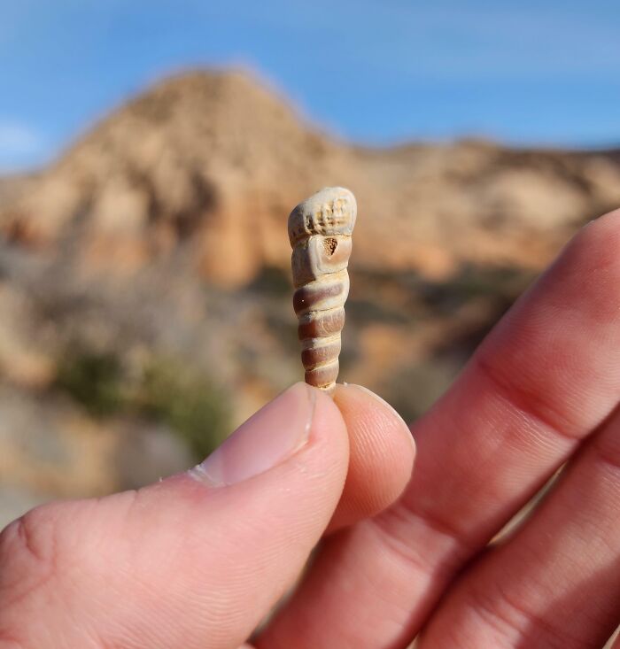 Bigpicture ru unbelievable things people stumbled upon in the desert 43