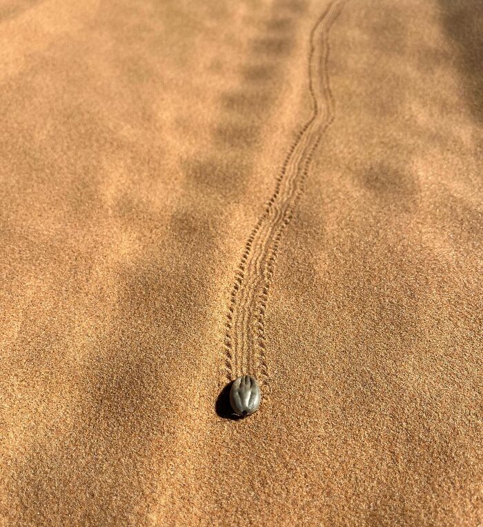 Bigpicture ru unbelievable things people stumbled upon in the desert 49