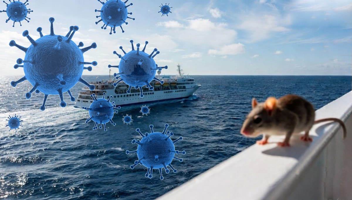 Круизный лайнер MV Hondius у берегов Кабо-Верде во время вспышки хантавируса в мае 2026 года
