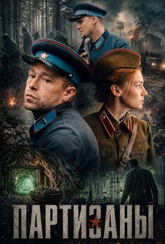Bigpicture ru 6802854 partizany