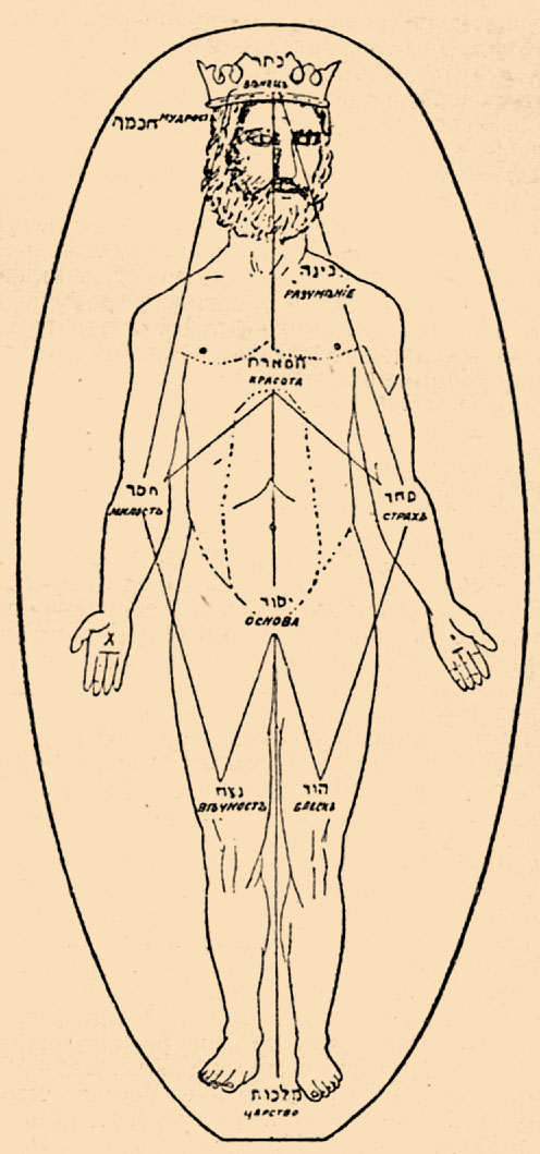 Адам Кадмон из десяти сефирот. Книга Кристиана Гинсбурга &laquo;The Kabbalah: Its Doctrines, Development, and Literature&raquo;, 1865 год