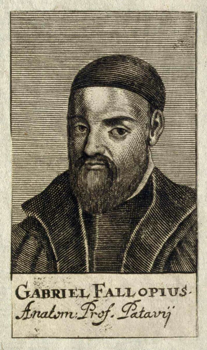 Портрет Габриэля Фаллопия &mdash; итальянского анатома XVI века, открывшего фаллопиевы трубы