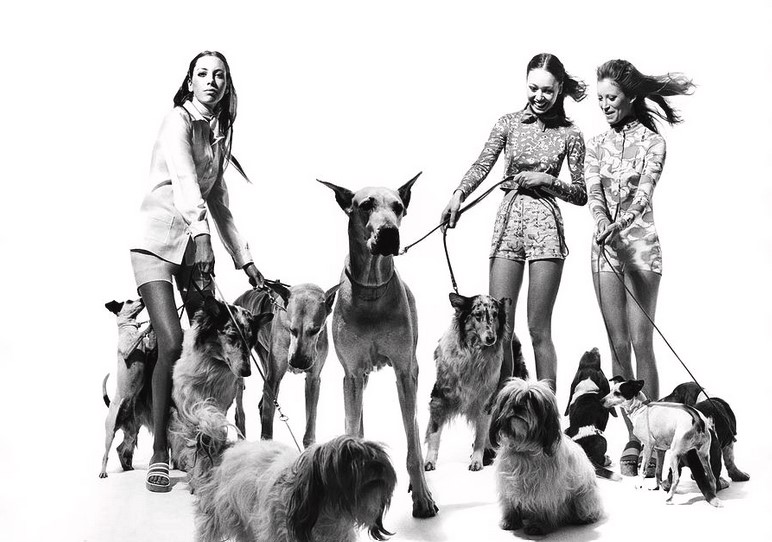 Модная съёмка Берта Штерна для Vogue, 1971 год