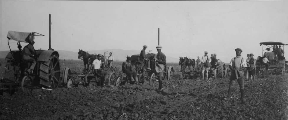 Совместная пахота в Иорданской долине, кибуц Дгания, 1935 год