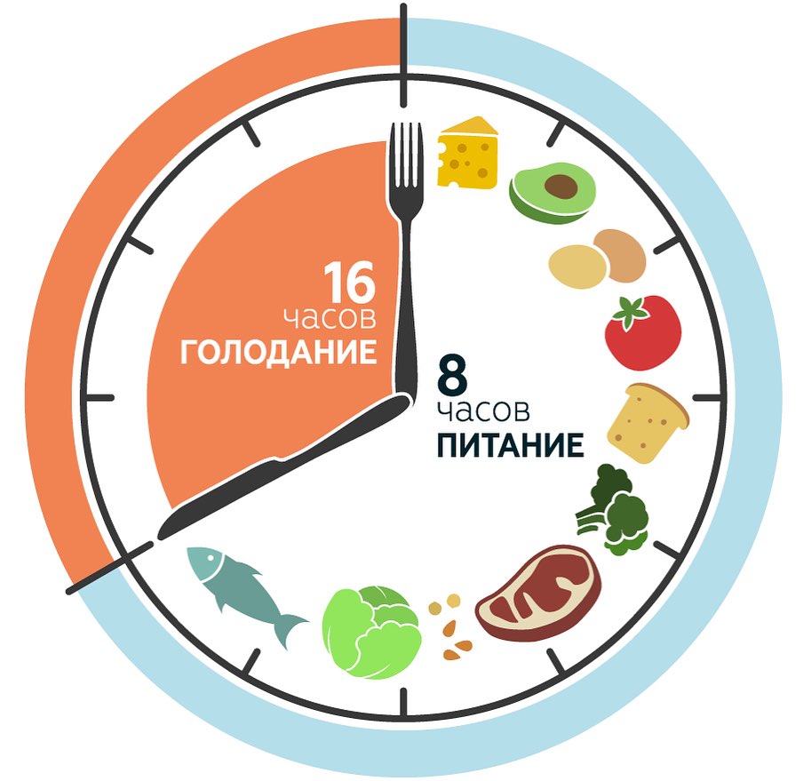 Инфографика: циферблат с отмеченными 16 часами голодания и 8 часами питания