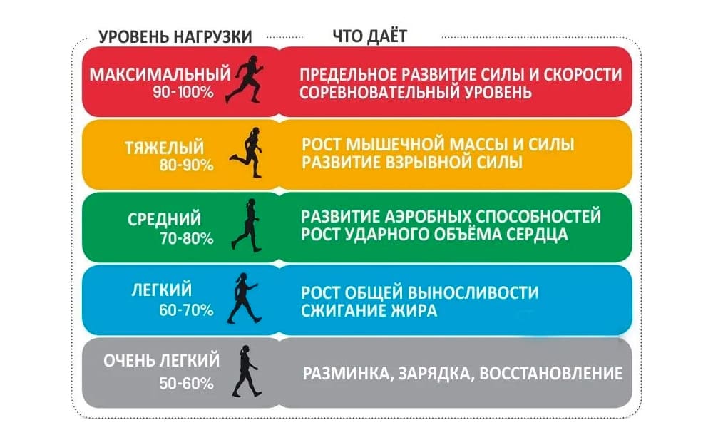 Сравнение интенсивности тренировок и жиросжигания &mdash; лёгкие нагрузки эффективнее для потери жира