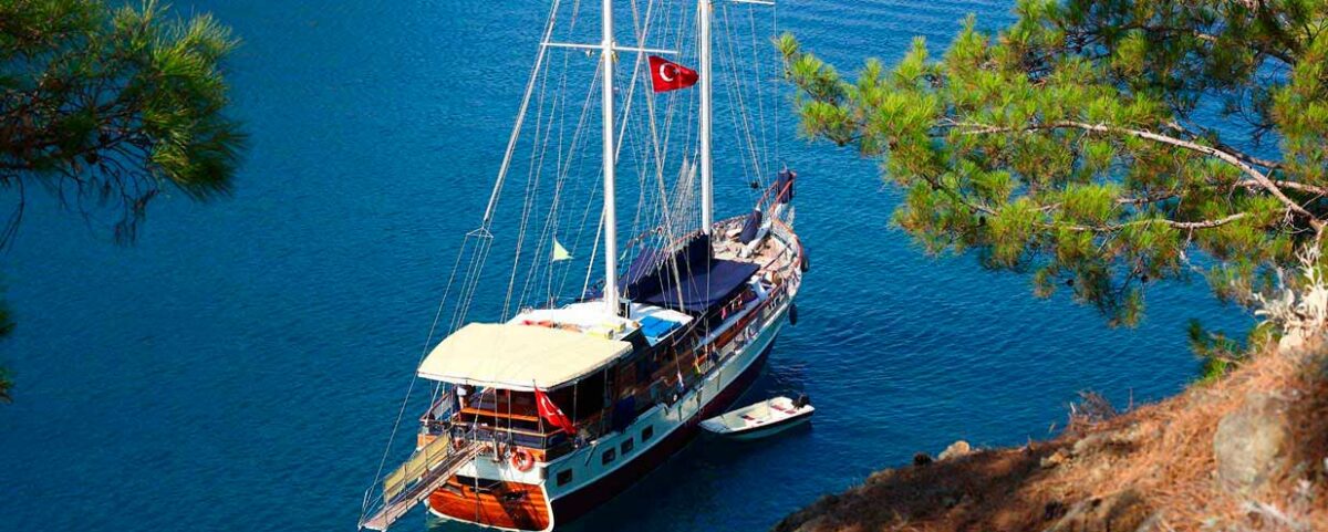Bigpicture ru 824 330 turkey04b