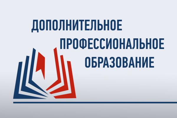 Bigpicture ru дополнительное профессиональное образование