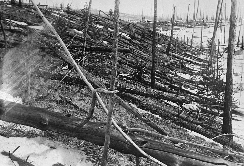 Тунгусский метеорит поваленный лес 1927 экспедиция