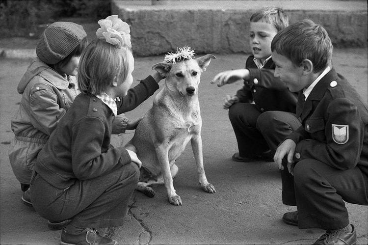 Девочка с собакой, украшенной венком из цветов, 1 сентября 1983 года, Новокузнецк