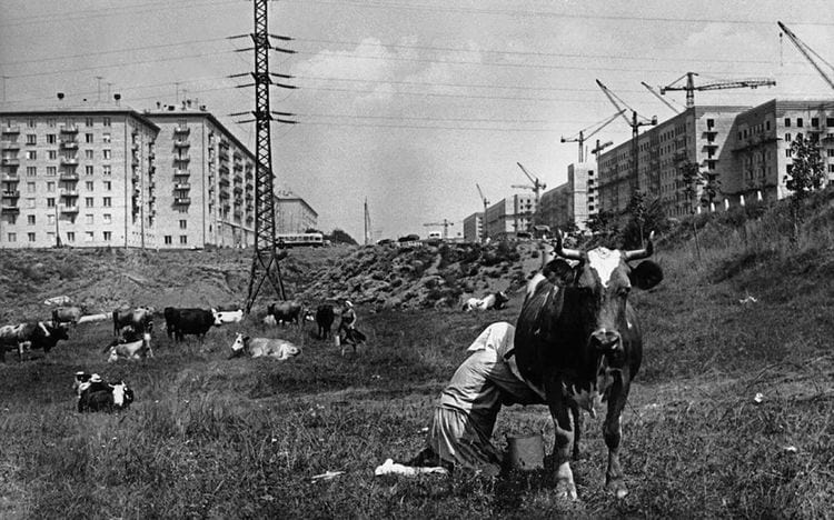 Строительство жилого района Черемушки в Москве, 1958 год