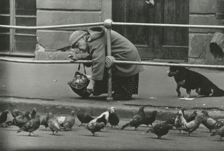 Мужчина кормит голубей на улице Ленинграда, июнь 1978 года