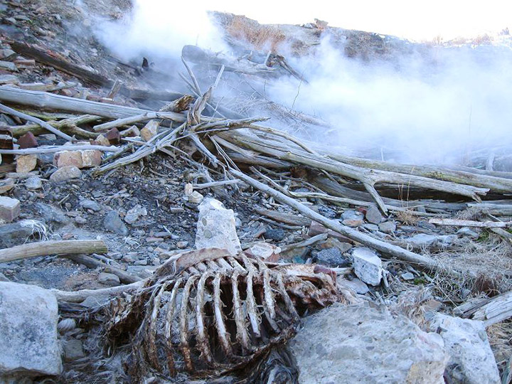 Bigpicture ru centralia mine fire skeleton