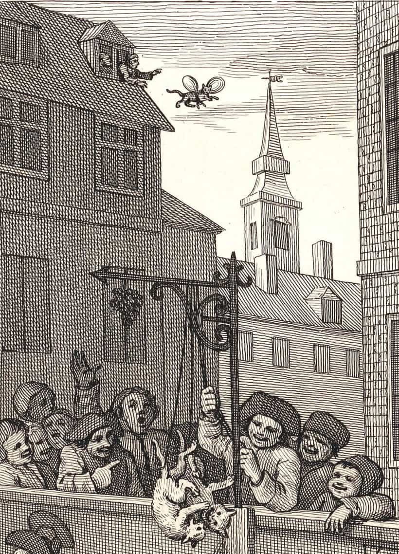 Жестокое обращение с кошками. Гравюра Уильяма Хогарта, 1751 год