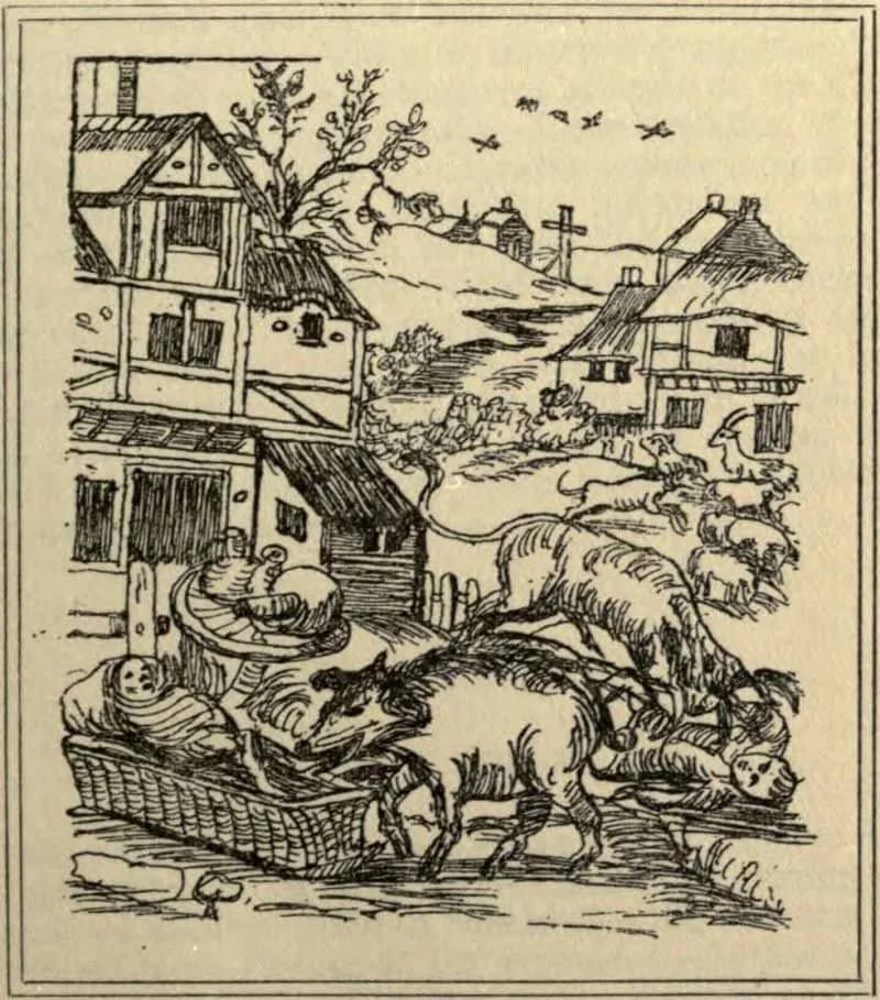 Свиньи нападают на детей. Гравюра из книги Эдварда Пейсона Эванса, 1906 год